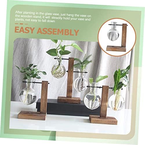 Hydroponic Glass Vase with Wooden Stand, Water Planter - Image 3