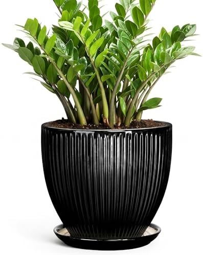 10 Inch Planter, Ceramic Plant Pots with Drainage Hole and Saucer, Large Decorative Planters for Indoor Plants, Modern Plant Pot, Round Flower Pot, House Bedroom Decor, Black by Unknown