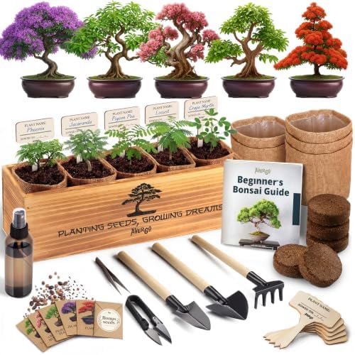 Bonsai Tree Kit Deluxe - Growing 5 Unique Japanese Bonzai Trees by Plantingseedsgrowingdreams
