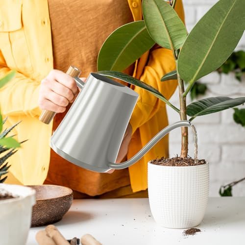 Green Moon 1L/35oz Metal Watering Can Indoor with Long Spout, Gray - Image 7