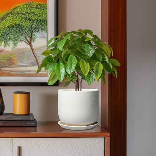 Ceramic Plant Pot - Modern 8 Inch Round Planter for Indoor Outdoor Plants with Drainage Hole and Saucer, Home House Room Office Decor, White - Image 2