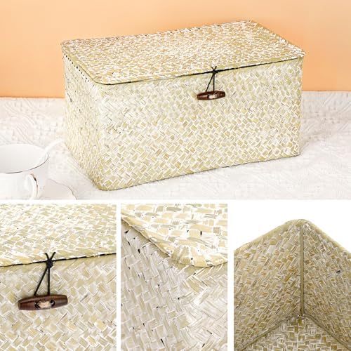 Hipiwe Seagrass Storage Basket Bins with Lid Handwoven Wicker Shelf Baskets - Image 2