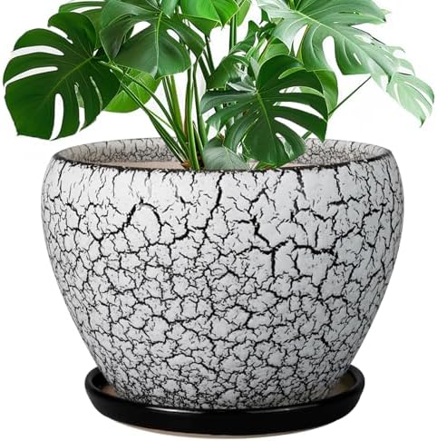 Ceramicfor Ceramic Planters for Indoor Plants - 10 Inch Plant Pot with Drainage Hole and Saucer, Large Flower Pot for Home Decor, White/Black by Ceramicfor