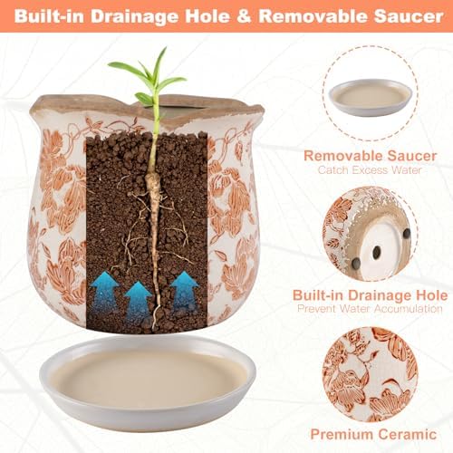 Ceramic-Planters-for-Indoor-Plants with Saucer, 6 inch Vintage Ice Crackle Glaze Plant Pots with Drainage Holes, Decorative Flower Pots for Outdoor Garden Home Decor, Tuscan Pot for Plant - Image 4