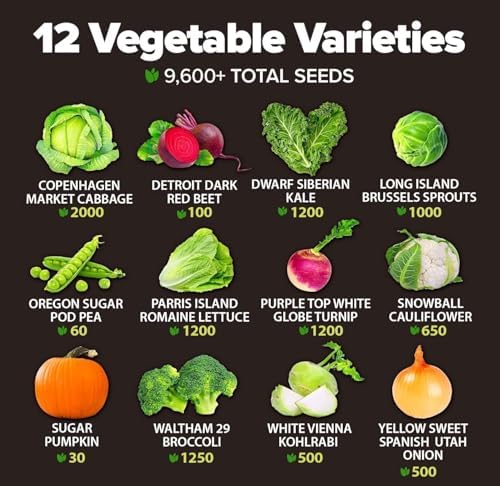 HOME GROWN 12 Fall Vegetable Varieties 9600+ Seeds Cool Season Mix - Image 3