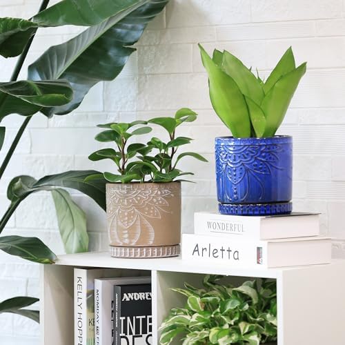6 Inch Indoor Plant Pots with Drainage Holes and Saucers, Ceramic Planter for Plants, Flower Pot - Set of 2 - Image 6