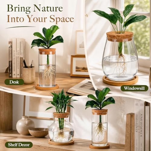 6 Pcs Plant Propagation Station Set, Glass Propagation Vases for Plants with Wooden Lids & Bamboo Stands, Hydroponic Vase Jars for Plant Cuttings, Terrarium Planters for Desk, Home Office Decor - Image 5