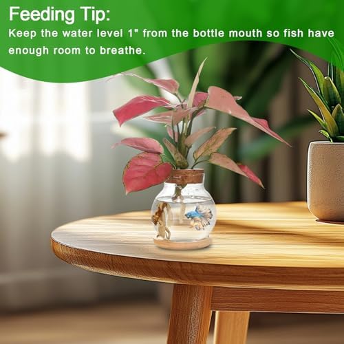 Plant Propagation Station,Hydroponic Glass Container Vase Jars, with Wooden Saucer for Desks, Houses, Garden Decorations, Home Kitchen Decorations and Gifts for Plant Lovers (6) - Image 5