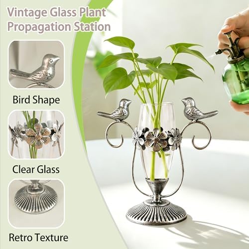 Vintage Hydroponics Glass Propagation Vases for Plants, 8.26"×7.9" - Image 3