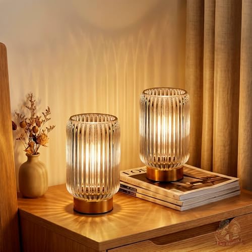 MJ PREMIER Battery Operated Lamp, Small Cordless Lamp with Timer, Clear*2 by MJPREMIER