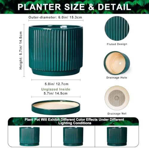 Ceramic Planter, 6 Inch Pots for Plants with Tray, Blackish Green - Image 2