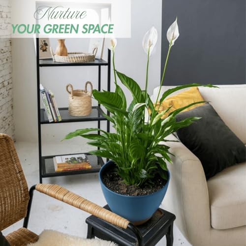 8/10/12 Inch Self Watering Pots for Indoor/Outdoor Plants with Drainage - Image 2