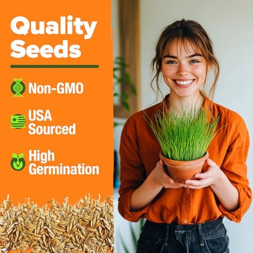 HOME GROWN Cat Grass Seeds 6 oz Heirloom Barley & Oat Mix - Image 2