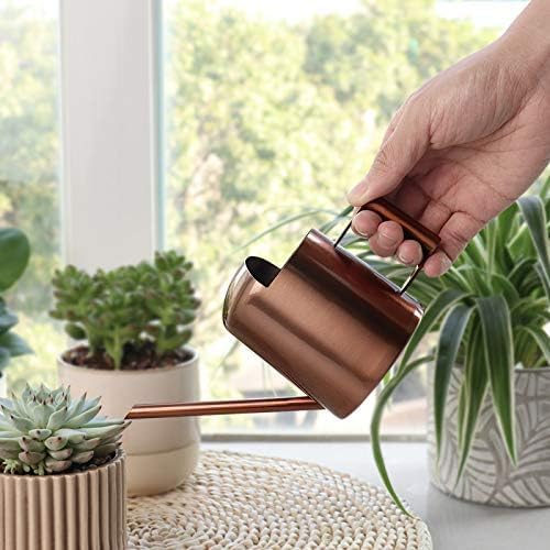 Mini Watering Can, 10oz/300ml Stainless Steel Long Spout Small Watering Can for Indoor Plants Succulents, Herbs (Bronze) - Image 2