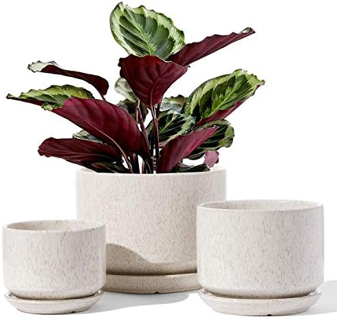 LE TAUCI Ceramic Plant Pots, 4.3+5.3+6.8 inch, Set of 3, Planters with Drainage Hole and Saucer, Indoor Flower Pot with Hole Mesh Pad, Gifts for Mom, Reactive Glaze Beige by LETAUCI