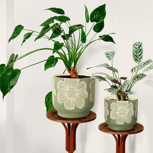 Ceramic Plant Pots, 8+6 Inch, 2 Pcs Indoor Planters with Drainage Holes - Image 2