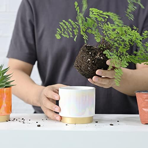 Gepege Succulent Pots for Plants, Succulent Planter with Drainage Holes, Ceramic Pot for Indoor Plant, Set of 4 - Image 6