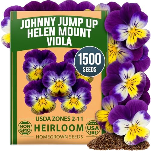 HOME GROWN Johnny Jump Up Helen Mount Viola Seeds, 1,500, Viola Tricolor by HOMEGROWN