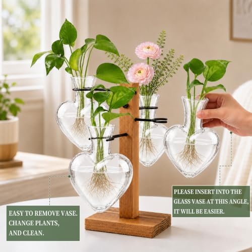 Plant Terrarium Propagation Station with 4 Heart Glass Vases - Transparent - Image 4
