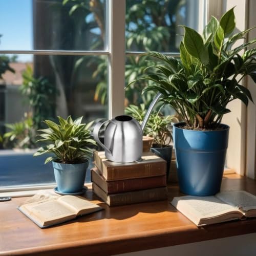 IMEEA Small Watering Can for Indoor Plants, Stainless Steel with Long Spout, 15oz/450ml – Perfect for Desk, Windowsill & Bonsai - Image 4