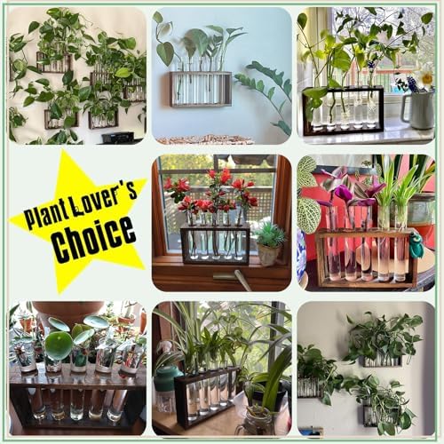 XXXFLOWER 5Test Tube Plant Propagation Station Plant Terrarium Wooden Stand - Image 4