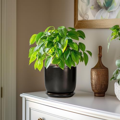 Ceramic Planter 7 Inch - Cylinder Round Modern Indoor Plant Pot for Plants with Drainage Hole and Saucer, Room Home Patio Office Patio Decor, Black - Image 4