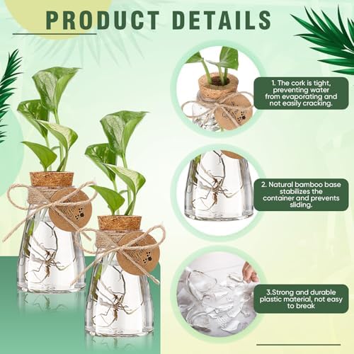 Baderke 12 Pack 3.35'' Plastic Plant Propagation Stations with Hole Lid Planter Vase Clear Propagation Jars with Thank You Tags for Plant Lover Gifts for Women Office Home Garden - Image 4