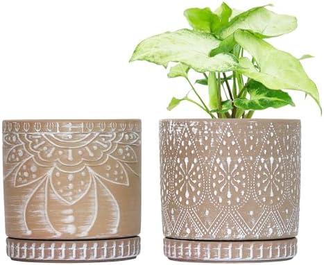 6 Inch Indoor Plant Pots with Drainage Holes and Saucers, Ceramic Planter for Plants, Flower Pot - Set of 2 by YFFSRJDJ