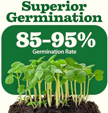 32 Heirloom Vegetable and Fruit Seeds for Planting - 16,000+ Seeds | Non-GMO Survival Seed Vault | High Germination | 32 Varieties of Vegetable Seeds for Your Home Survival Garden - Image 6