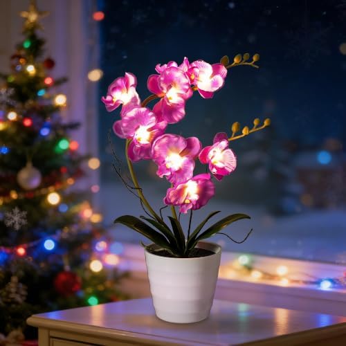 Purple Orchid Lamp Gifts for Women Flower Decor for Bedroom Coffee Shop by Hibeauti