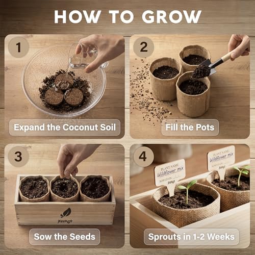 AVERGO Wildflower Seed Mix Growing Kit - Image 2