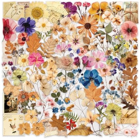 100PCS Transparent Flora Scrapbook Stickers, Vintage Aesthetic Flowers Sticker for Scrapbooks Travel Journal, Vinyl Waterproof for Water Bottles Laptop Phone Scrapbook Supplies DIY Crafts (Flower-AB) by Unknown