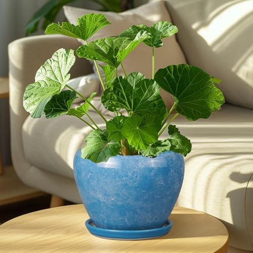 Ceramicfor Ceramic Planter, 8 Inch Plant Pot, Blue - Image 2