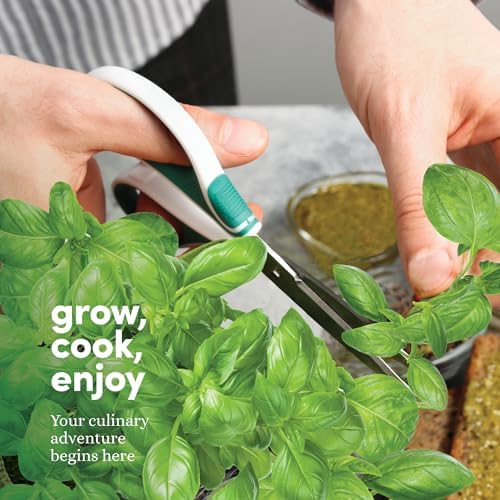 9 Herb Indoor Window Garden Kit - House Plants Seeds - Birthday Gifts - Image 5