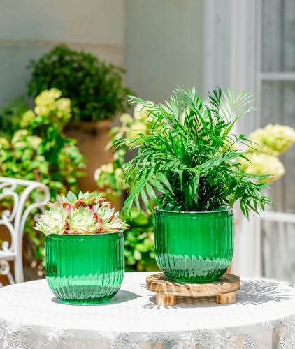 Melphoe Self Watering Pots for Indoor Plants Planter, 6.5 Inch 2 Pack Planters Self Watering Plant Pots for Flower, Houseplants, Succulent, African Violets and Cactus with Drainage - Image 3