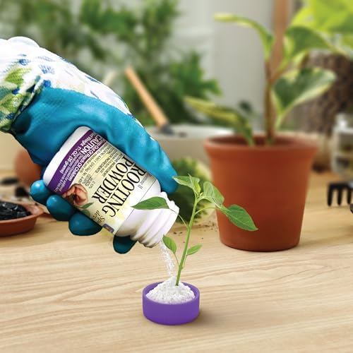 Bonide Bontone II Rooting Powder, 1.25 oz Ready-to-Use Dust for Houseplants and Transplants Speeds Root Development (Pack of 4) - Image 5