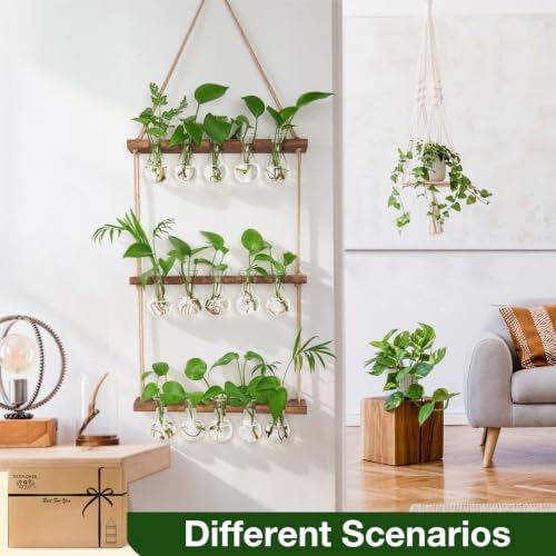 XXXFLOWER Wall Hanging Propagation Station 5 Bulb Vase 3 Tiers Brown - Image 4