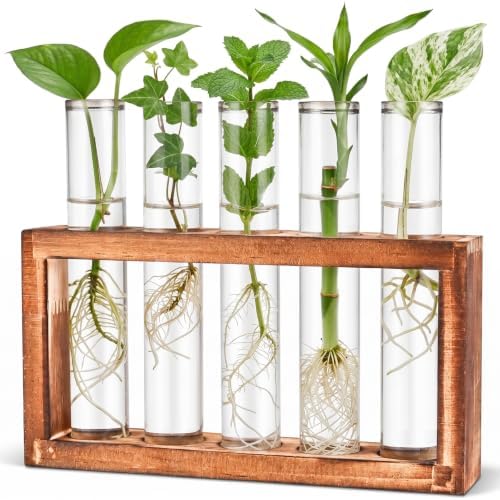 Tigvio Desktop Glass Plant Propagation Station (5 Tubes) by Tigvio
