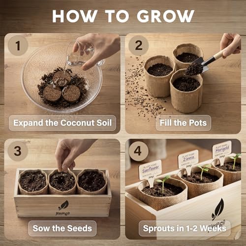 AVERGO Sunflower, Marigold & Zinnia Flower Seeds Growing Kit - Image 2