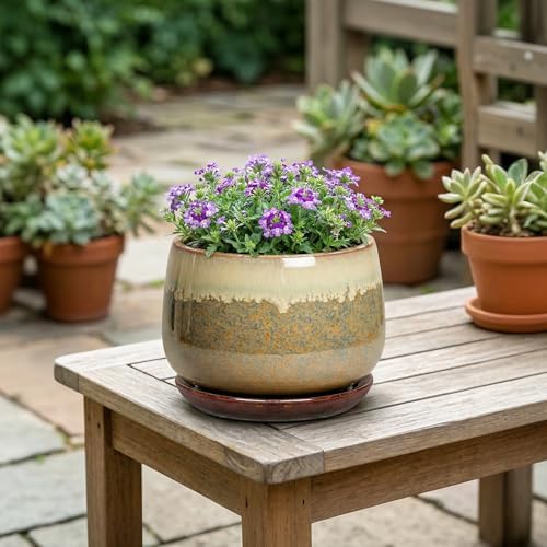 6 Inch Plant Pot - Ceramic Pots for Indoor Plants, Round Small Succulent Planter with Drainage and Saucer, Decorative Flower Pot, Office Room Decor, Gifts for Plant Lovers, Brown-Beige - Image 4