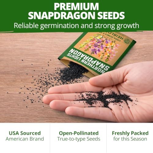 HOME GROWN Northern Lights Snapdragon 6000 Flower Seeds Antirrhinum majus - Image 7