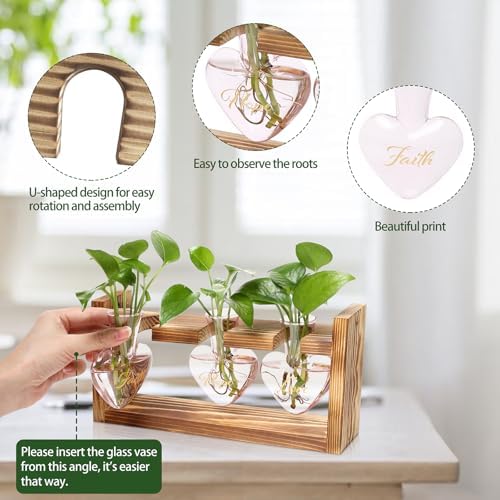 Plant Terrarium Propagation Stations Hydroponics - Image 2