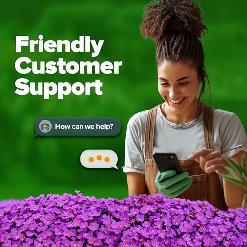 HOME GROWN Aubrieta Rock Cress Purple Seeds, 300 Seeds, Aubrieta deltoidea - Image 7