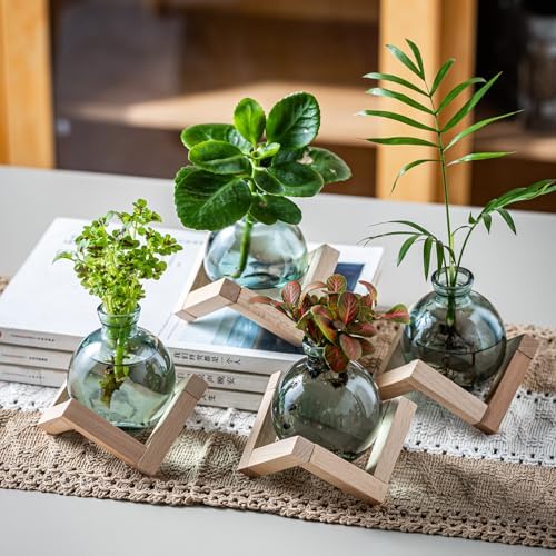 Plant Propagation Station, Plant Terrarium with Wooden Stand for Hydroponic Plant Propagation, Propagation Vases for Plants, Green Glass Bulb Vases for Home Office Decor (2) - Image 3