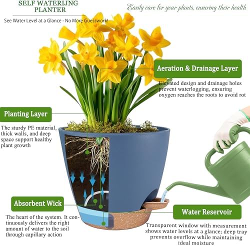 Self Watering Pots for Inoor Ourdoor Plants 8/7/6.5/6/5" Plastic Planters - Image 3