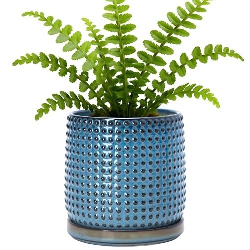 D'vine Dev Beaded Ceramic Pot with Saucer, 6 in, Ocean Teal, 27-C-X-8 by DvineDevPlanterPotsandStand