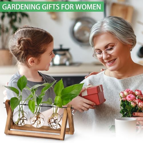 YIBOT Plant Propagation Stations with Wooden Stand & 3 Glass Bulb Vases - Image 6