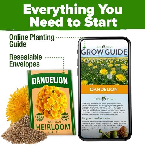 HOME GROWN Dandelion Seeds, 600 Seeds, 0.3 g, Taraxacum officinale - Image 7