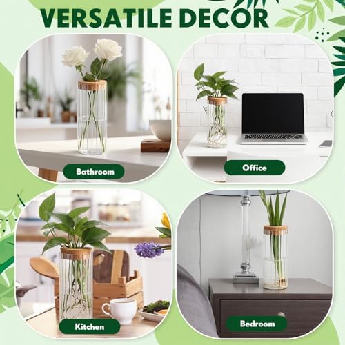 6 Set Propagation Station Jar Desktop Glass Planter Station Flower Vases Water Terrarium Jar with Cork Lid for Propagating Flower Plants Centerpiece Office Home Garden Decor(Medium) - Image 7
