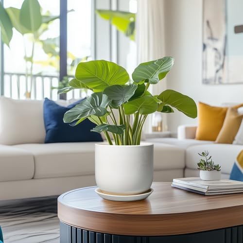 Ceramic Pot for Plants 7 Inch - Modern Round Indoor Outdoor Planter with Drainage Hole and Saucer, Home House Office Room Decor, White - Image 2